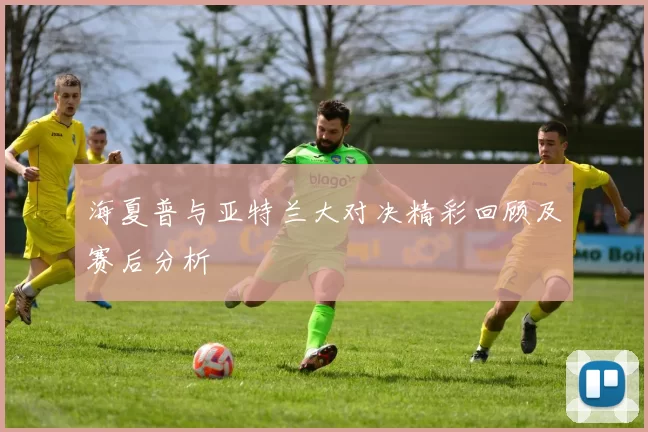 海夏普与亚特兰大对决精彩回顾及赛后分析