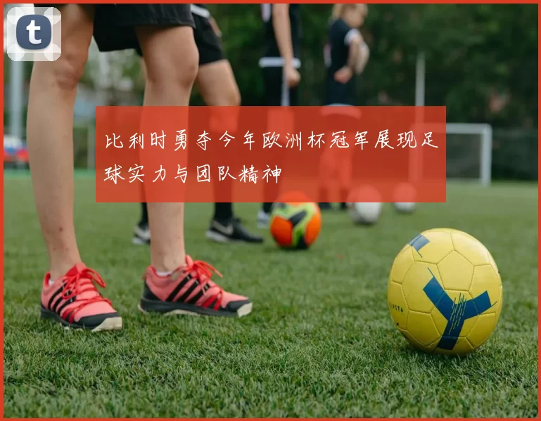 比利时勇夺今年欧洲杯冠军展现足球实力与团队精神