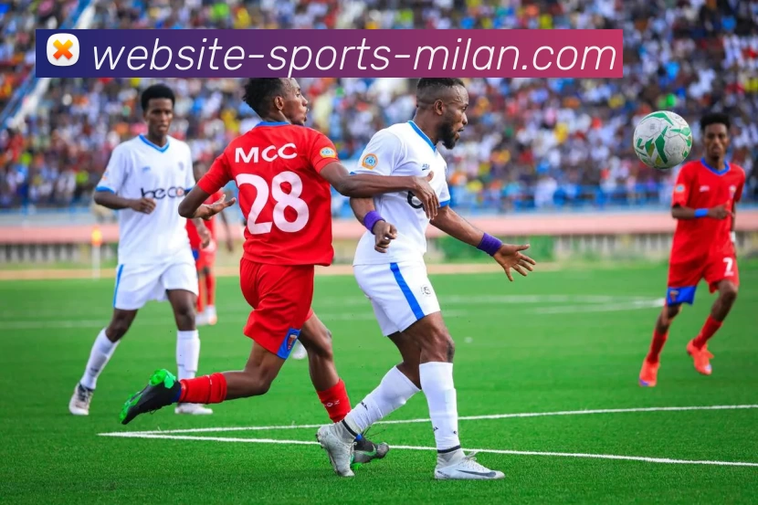 米兰体育官网平台生态图